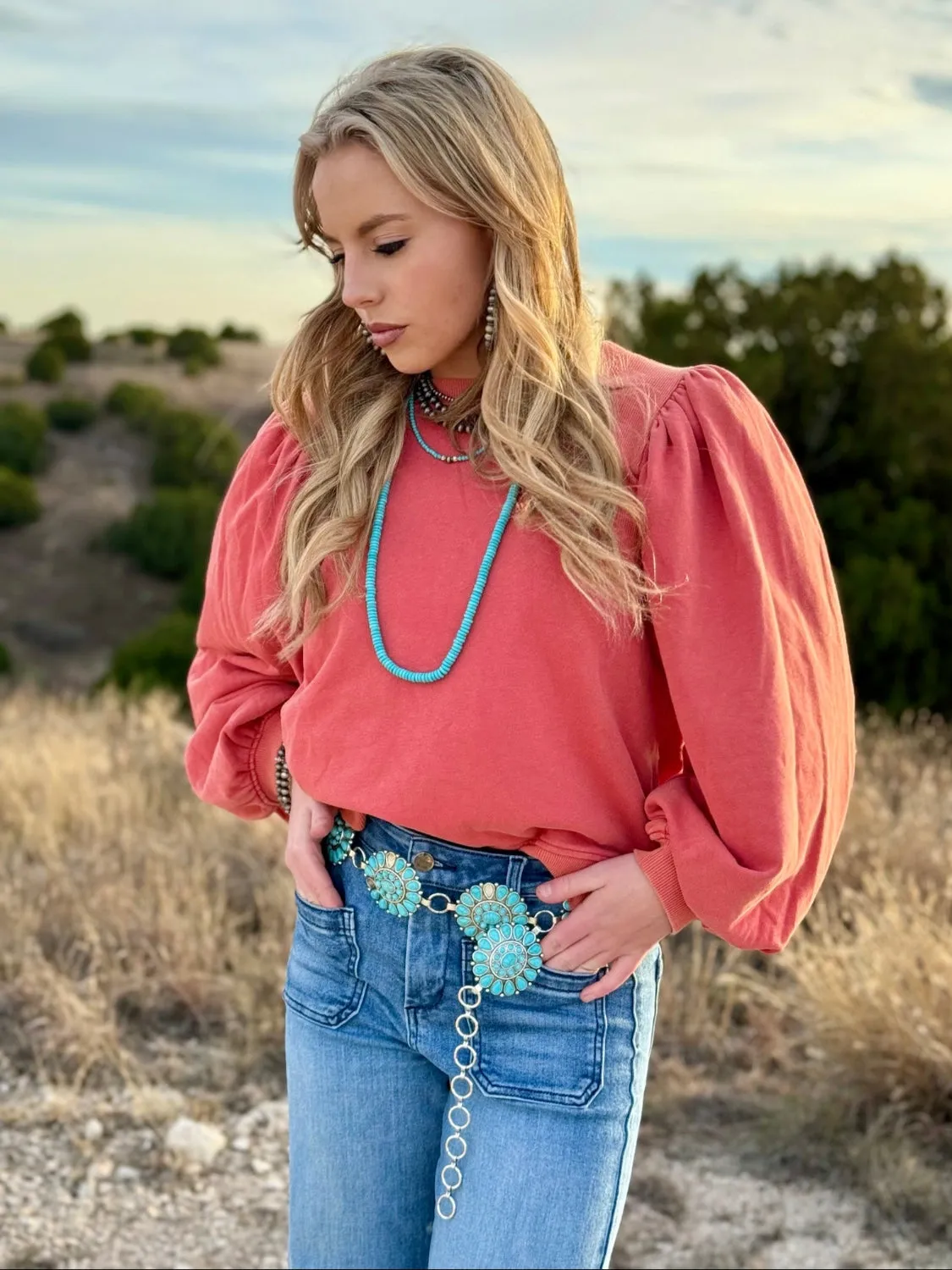 Barbara Rust Puff Sleeve Top
