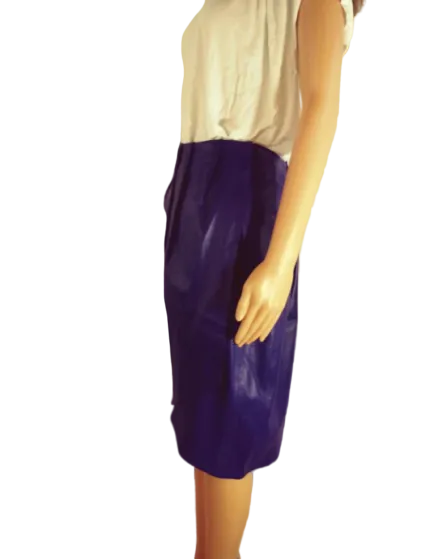 In Transit Leather Skirt Purple Size L (SKU 000266-7)